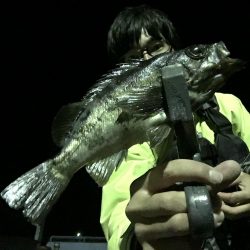 五島でロックフィッシュのライド オン パレード！